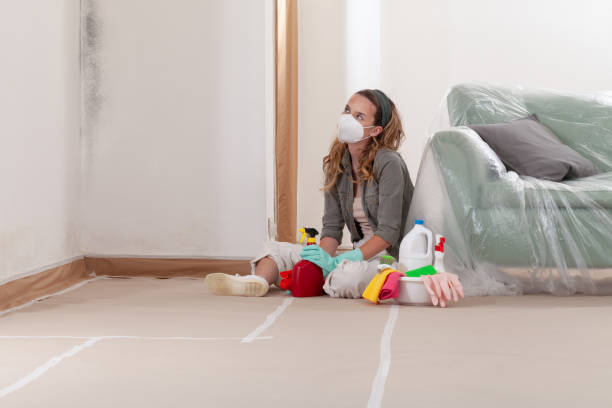 Reliable Mold Remediation contractor in Hyndman, PA by WQB Mold Removal